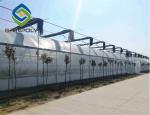 Anti Drip 150mic 8m Tomato Plastic Film Greenhouse