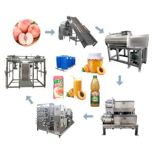Wholesale SS 304 380V 220V Fruit Juice 5 T/Day Peach Processing Plant from china suppliers