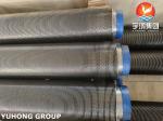 High Frequency Welding Solid Fin Tube, Stainless Steel ASTM A312 TP347H For HRSG