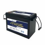 48V 50AH LiFePO4 Lithium Battery with Smart BMS for Marine Boat Renewable Energy