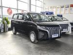 Family Business Dual Purpose MPV Vehicles Gasoline Light Duty Cargo Vans