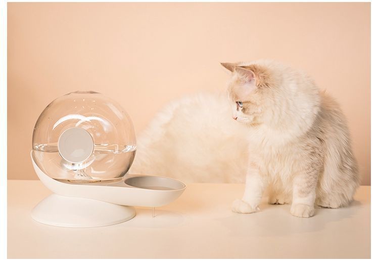 Pet Water Dispenser Does Not Plug In The Electric Flow Water Automatically Fountain Water Bowl For Cat Dog
