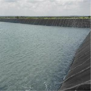 Wholesale Industrial HDPE Geomembrane 0.2mm -3mm for Waste Purification in 's Industrial Sector from china suppliers