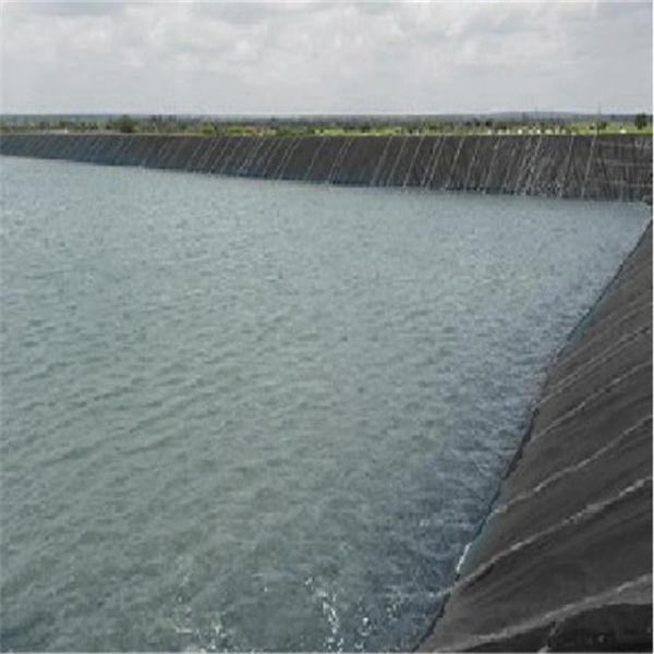 Industrial HDPE Geomembrane 0.2mm -3mm for Waste Purification in 's Industrial