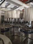 RO System 330ml Plastic Bottle Filling Machine Mineral Water Bottling Line