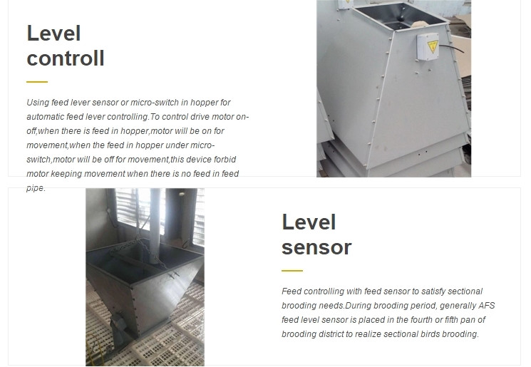 Poultry Farming Equipment Broiler Automatic Pan Feeding System 330mm