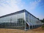 Super Strong Resistance Venlo Glass Greenhouse for Commercial Agricultural