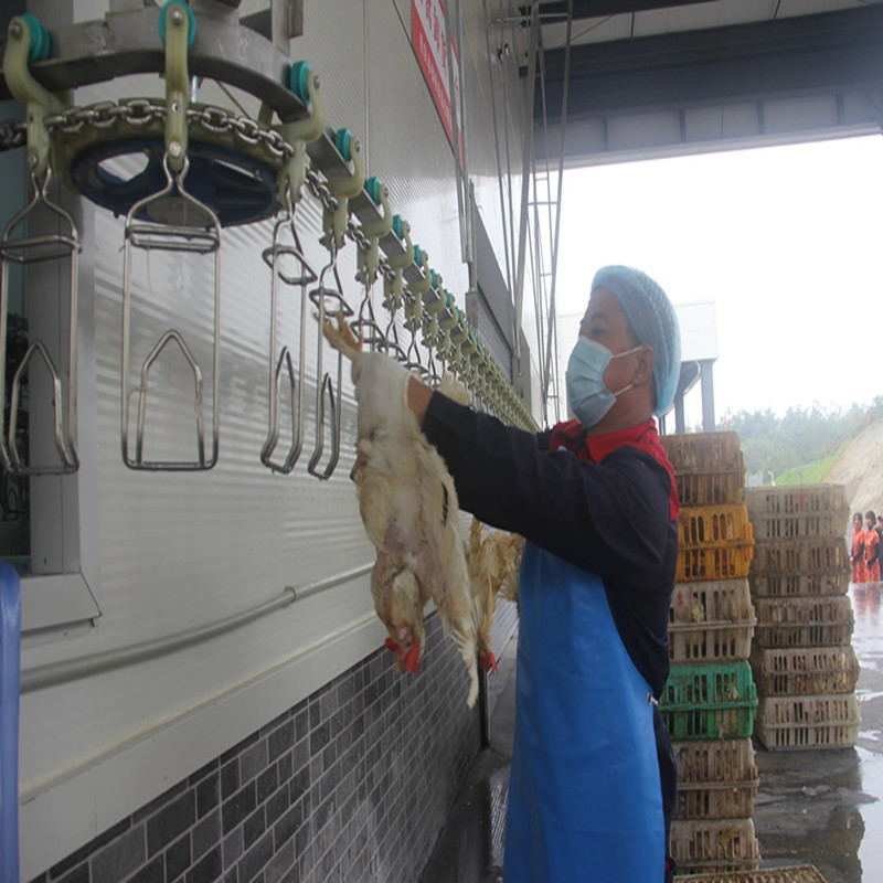 Large Spiral Screw Pre Chiller Machine For Poultry Processing Plant Machinery