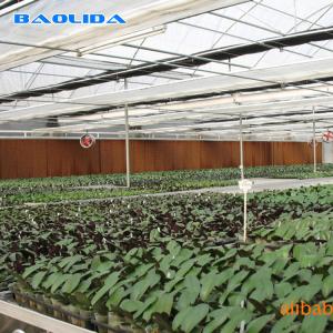 Wholesale Multi-Span Greenhouse High Tunnel 200 Micron Polyethylene Film Greenhouse from china suppliers