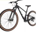29 Full Carbon Fiber Mountain Bikes XC Mountain Bike 11 Speeds