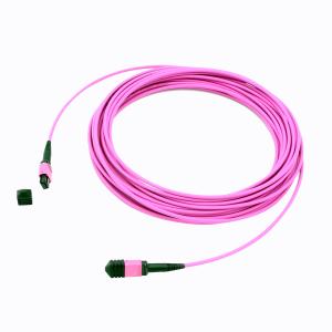 Wholesale 24F 40G Male OM4 MPO cable from china suppliers