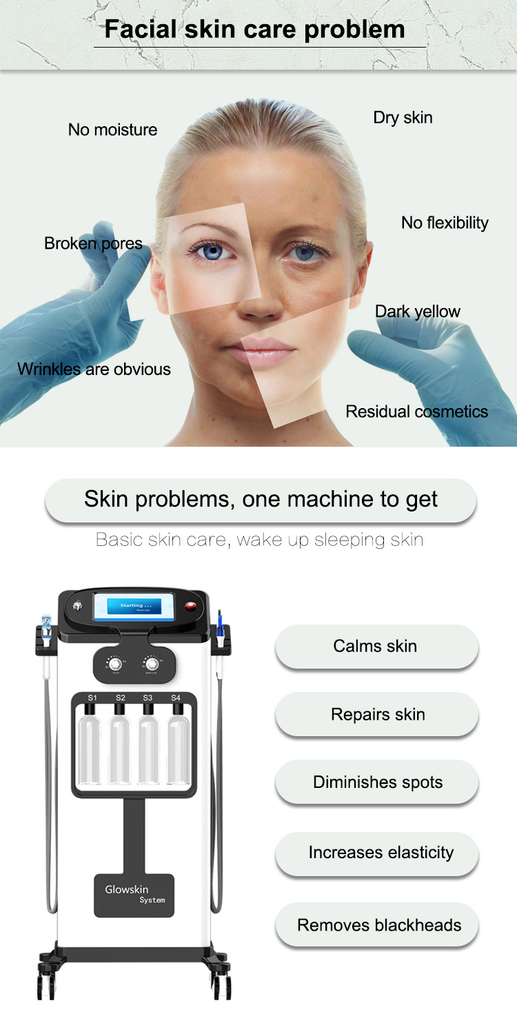 Skin Polishing Beauty Therapy Machines 10 In 1 Hydro Crystal Microdermabrasion Machine