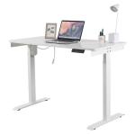 Single Motor Electric Height Adjustable Computer Desk 33.73lbs 120x60cm