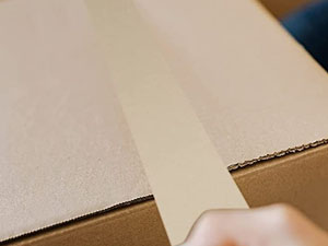Shipping Box Sealing