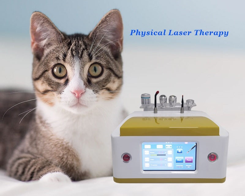 Pets Pain Recovery Surgical 980nm Diode Laser Veterinary Therapy Laser Device