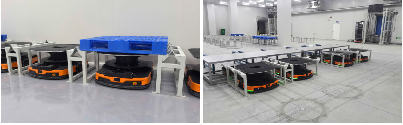 Cold Storage Warehouse ASRS
