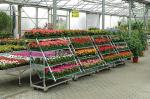 500kgs Danish Flower Trolley 3 Shelves Outdoor Plant Cart With Wheels