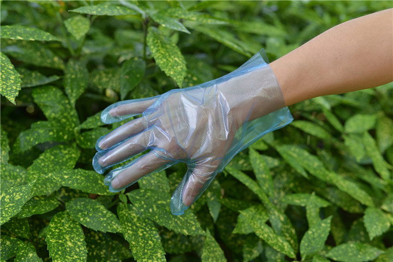 Waterproof TPE Disposable Gloves For Food Processing