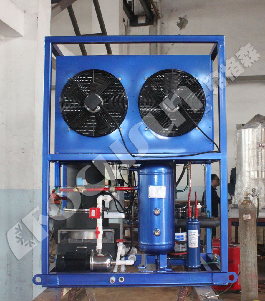 Industrial Edible Ice Production Plant with 2 Ton Tube Ice Machine and PLC Control