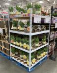 Ez Racks Euro Danish Flower Trolley Canada Ez Container