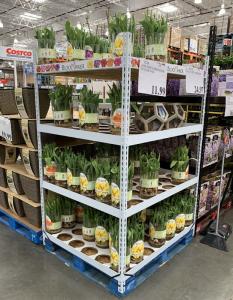 Wholesale Ez Racks Euro Danish Flower Trolley Canada Ez Container from china suppliers
