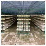 Durable Galvanized Steel Blackout Light Deprivation Agricultural Greenhouse