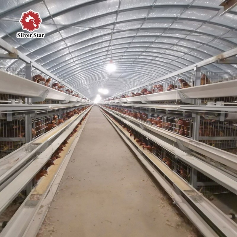 H Type Layer Chicken Cage Fully Automatic 195*230*150 For Poultry Farm