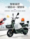 ELECTRIC VEHICLE WITH REMOTE CONTROL KEY TWO-PERSON ELECTRIC BICYCLE NEW BATTERY