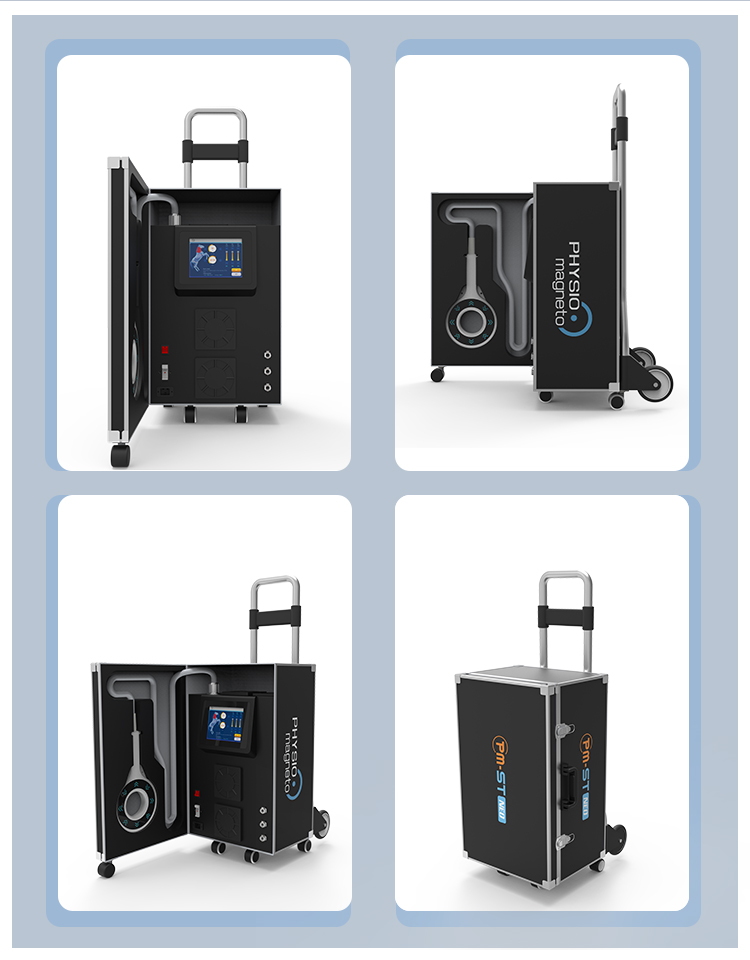 EMTT Shockwave Therapy Machine 4 Tesla Veterinary Device For Horse Muscle Stimulation