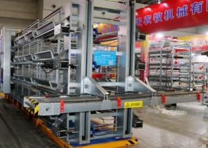 Wholesale Galvanized High Strength Egg Laying Chicken Cages 15-20 Years Lifespan from china suppliers
