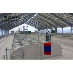 ISO9001 2008/CE/BV Certified Prefabricated Steel Beams H Beams Livestock Shed