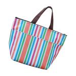 Portable Polyester insulated Cooler Bags For Women , Carry On Cooler Bag
