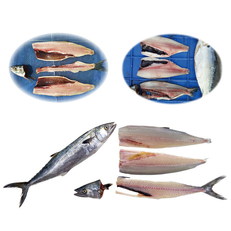 1500w Fish Fillet Processing Machine Reduce Artificial Motor Commercial