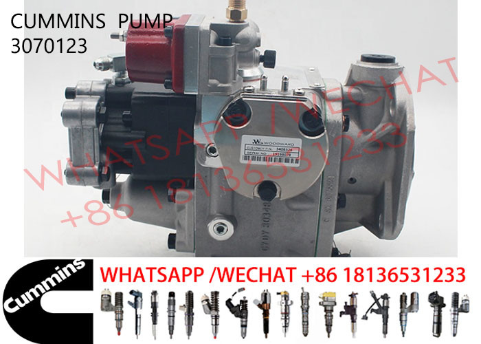 3070123 Cummins Nta855 Common Rail Injection Pump 3075537 3059657 4076760