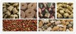 Automatic Dry Dog 200kg / H Pet Food Extruder Machine