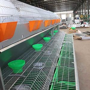 Wholesale 2400 * 2000 * 1500mm Farm Rabbit Cage For Rearing / Breeding Container Shipping from china suppliers