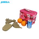 Health Reusable Animal Shape Small Kids Cold Pack Food Grade Lovely Plastic