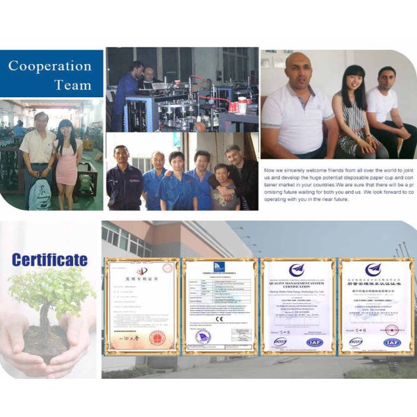 Fully Automatic Paper Coffee Cup High‑Performance Semi‑Servo Paper Cup Machine