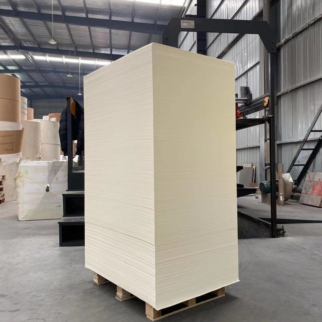 Food Grade PE Coated Paper Sheet Disposable Paper Cups Sheet FSC Certified