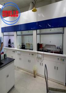 Wholesale Automatic Ducted Fume Hood For Ensuring Laboratory Safety And Comfort from china suppliers