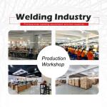 Single phase AC220V TIG300GAS IGBT TIG Welding Machine Inverter Welding Argon
