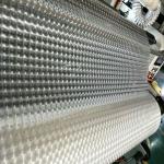 3D Color Hot Stamping Film , Bopp Laminate 3D Holographic Film Manufacturers