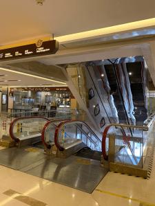 Wholesale Glass Escalator Modernization 2 mm Stainless Steel CNAS Balustrade Replacement from china suppliers