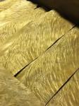 Golden Phoebe Burl in full 0.50mm thickness for fine furniture