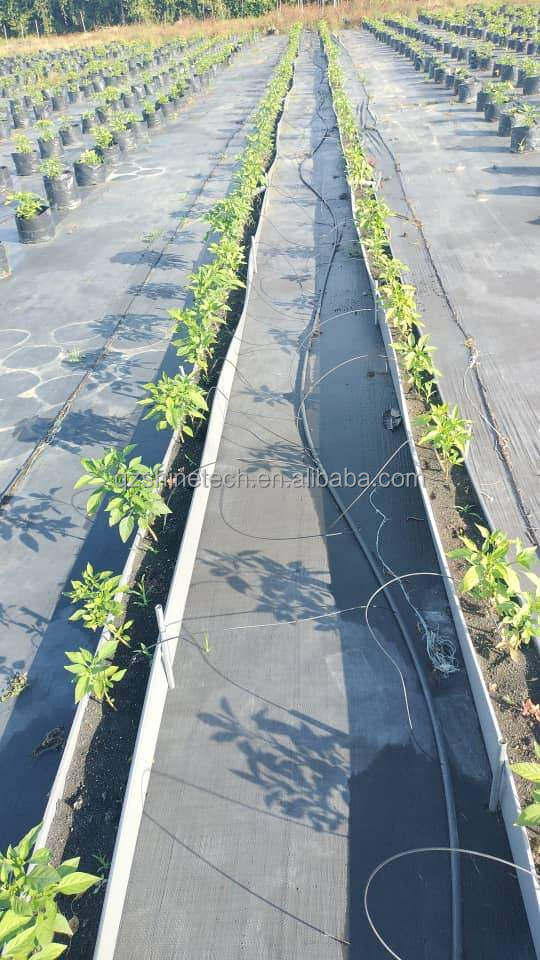 Hydroponic Planting Gutter For Growing Chili Pepper Cucumber And Strawberry