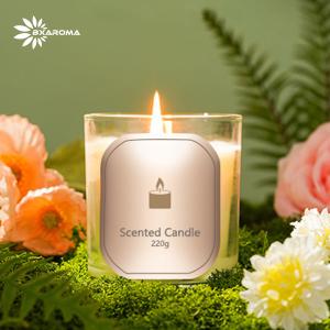 Wholesale Custom Decorative Aroma Scented Candle Aromatherapy Type MSDS from china suppliers