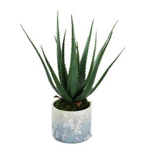 Wholesale Customizable Landscape 23CM Artificial Potted Floor Plants Green Aloe Garden Decoration from china suppliers