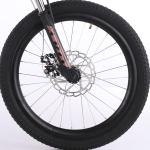 20 Inch 6 Speed MTB Mountain Bikes With Aluminum Alloy Rim