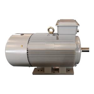Wholesale 75kW 110kw 4 Pole Low Voltage Induction Motor 380V 180L For Boat from china suppliers