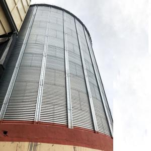 Wholesale High Capacity Stainless Steel Maize Corn Storage Silo for Paddy/Corn in Uganda Market from china suppliers